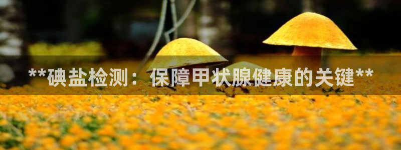 威九国际网站链接怎么打开