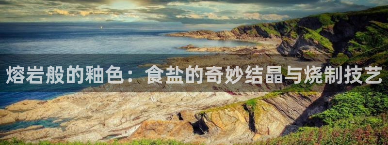 威九国际网站入口官网免费