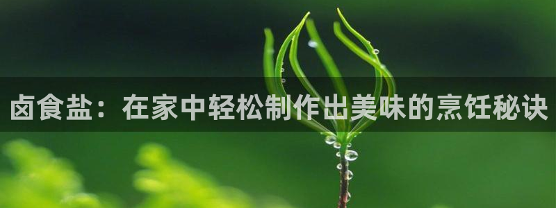 威九国际v96bet官网版