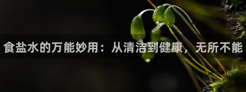 威九国际官网登录入口网址