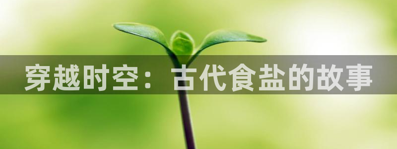 威九国际78mb 视频