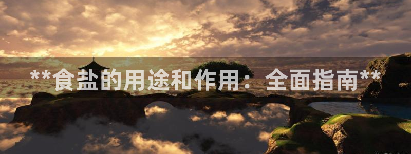 威九国际官网登录入口网址