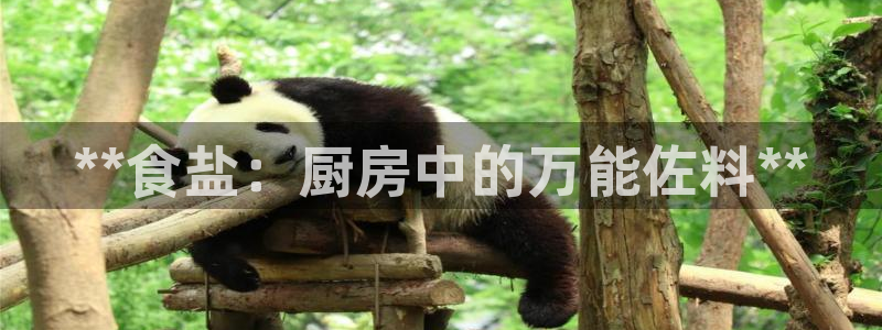 威九国际官网登录入口下载