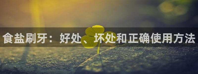 威九国际官网登录入口网站