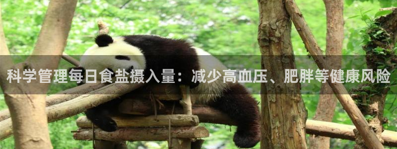 威九国际78m78下载