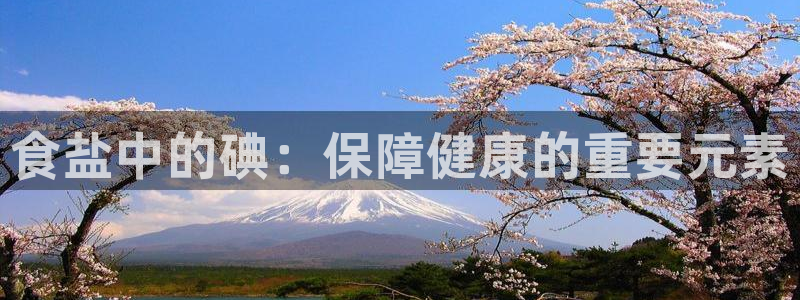 威九国际可以赚到钱