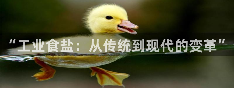 威九国际能提现吗现在