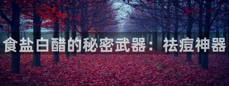 威九国际网站登录