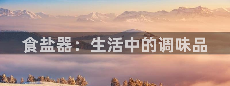 威九国际官网登录入口网站