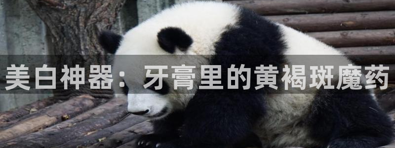 威九国际可以退钱吗怎么退的