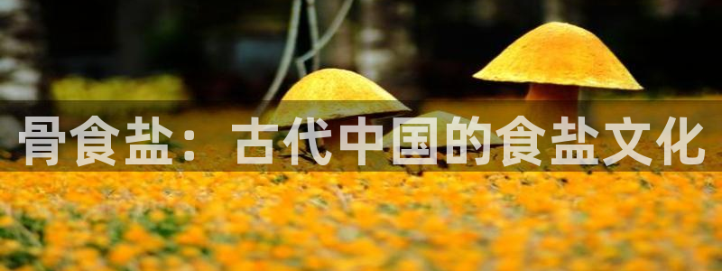 威九国际网站入口地址在哪里