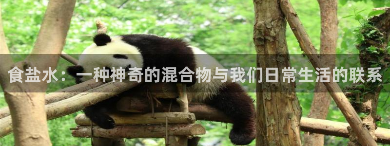 威九国际66在线：食盐水：一种神奇的混合物与我们日常生活的联