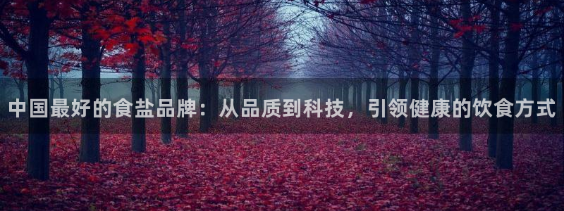 保定威九网络科技有限公司招聘