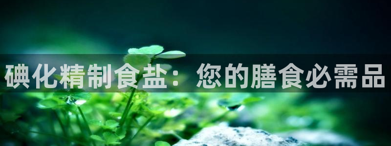 威九国际精：碘化精制食盐：您的膳食必需品