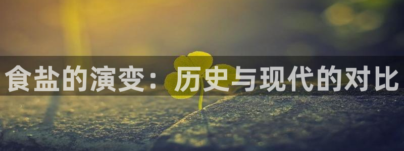 威九国际app网站官网