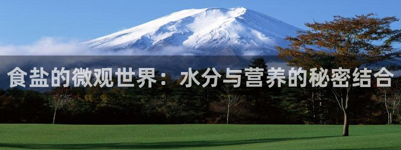 78.m威九国际官网版