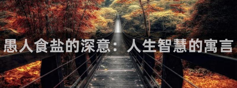 威九国际最新