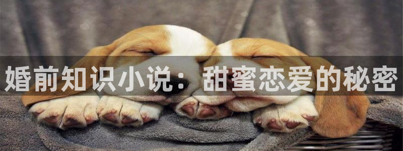 txt趣书网