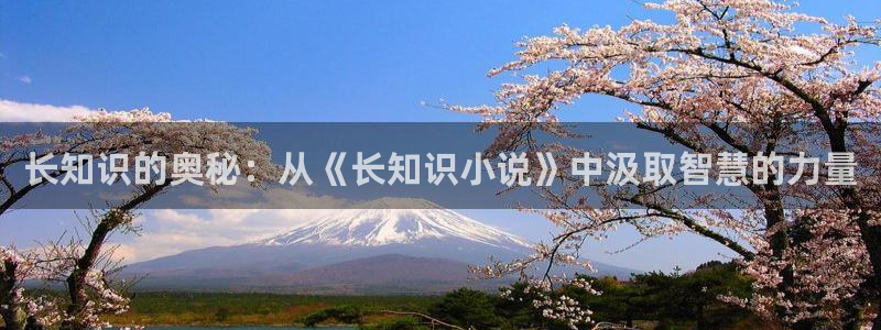 mqubooknet趣书网